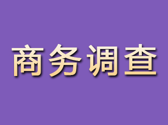 武都商务调查